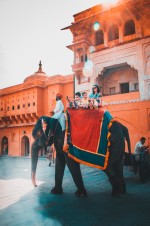 Jaaivi Tours