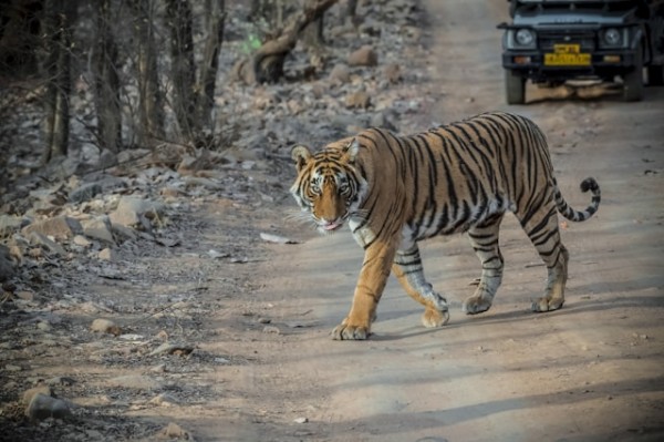 North India Tour (Uttarakhand)